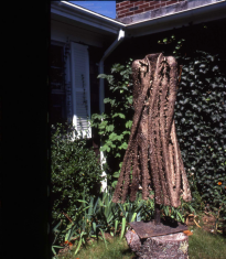 Draped Torso Standing