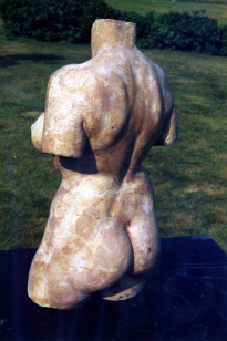 Small Female Torso